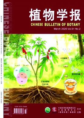 植物学报封面